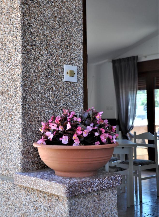 Romantic Boxavia Božava Exterior foto
